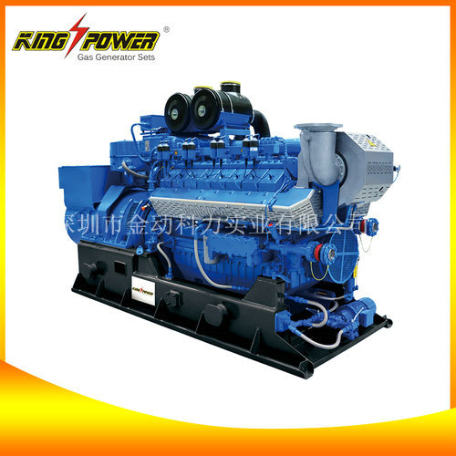 【供應(yīng)天然氣發(fā)電機(jī)】電讓世界變得更美！