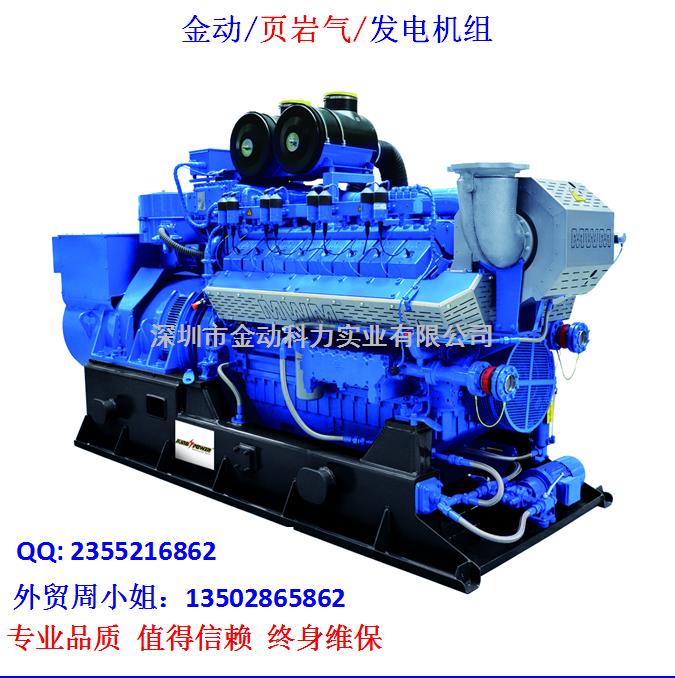 【深圳頁巖氣發(fā)電機(jī)】 發(fā)展趨勢(shì)無懈可擋！