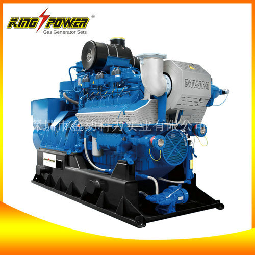 【生物質(zhì)氣發(fā)電機組生產(chǎn)商】給你不一樣的激情！