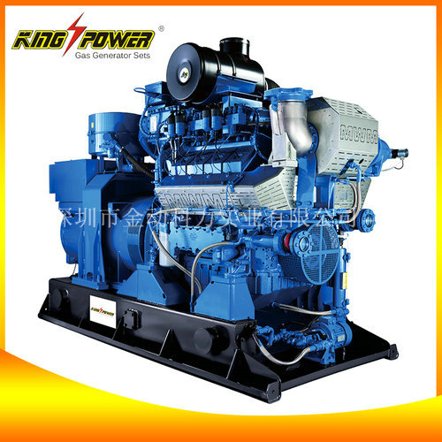 【養(yǎng)殖場(chǎng)沼氣發(fā)電機(jī)】讓養(yǎng)殖垃圾變的有意義!